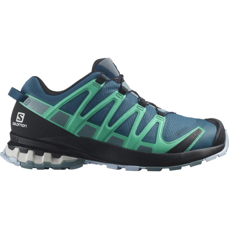 Sapatilhas Trail Running Salomon Xa Pro 3d V8 GTX Feminino Azuis Turquesa | PT H15768